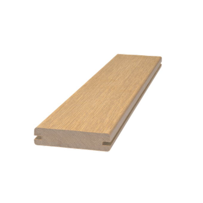 Cedar